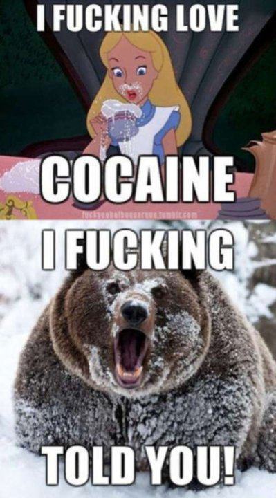 Obrázek cocaine told you
