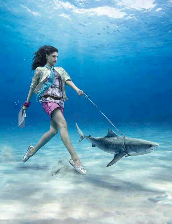 Obrázek colesa walk