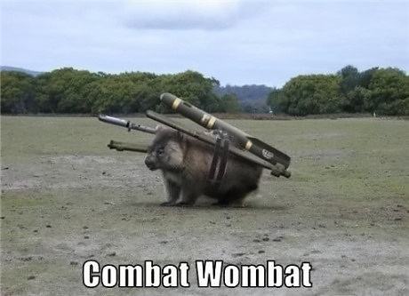 Obrázek combat wombat 
