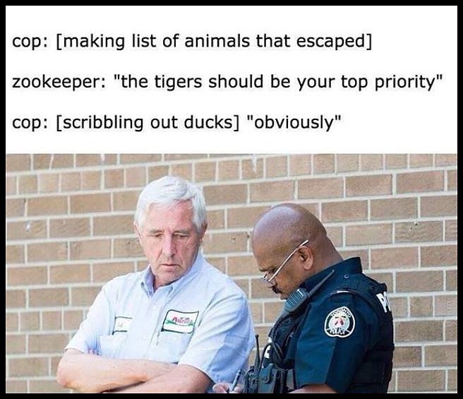 Obrázek cop-zookeeper