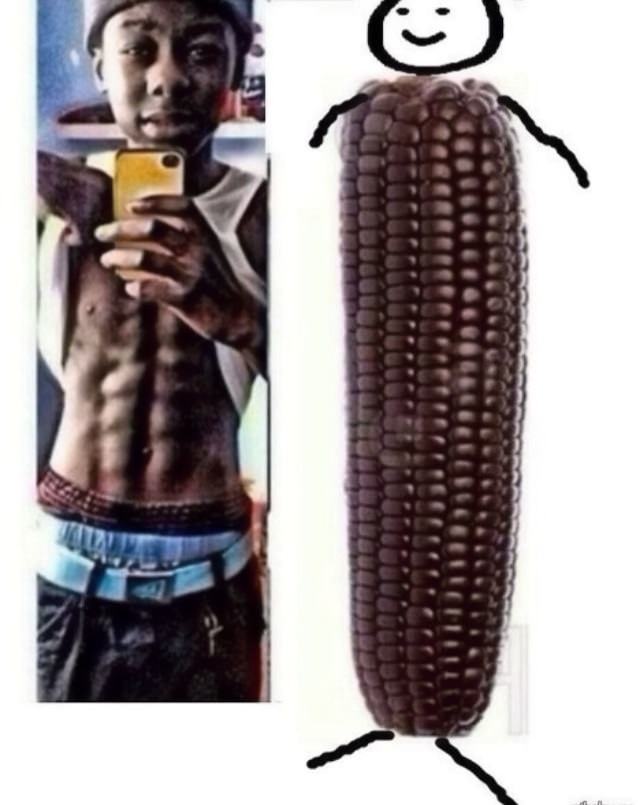Obrázek corn - corn