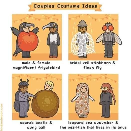 Obrázek couple&nbsp;costumes