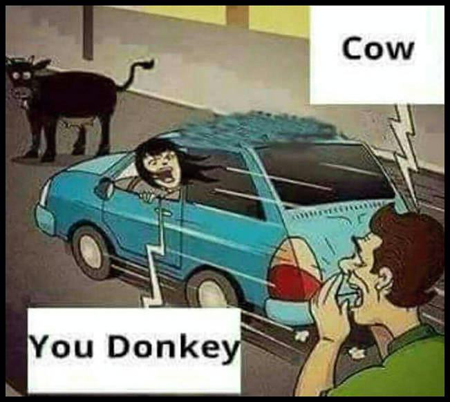 Obrázek cow-donkey