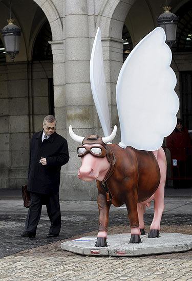 Obrázek cow parade exhibition madrid