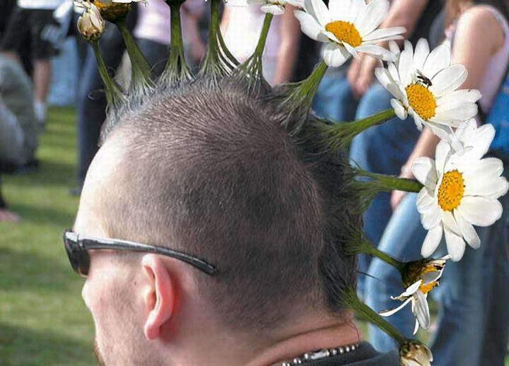 Obrázek crazy hairdos