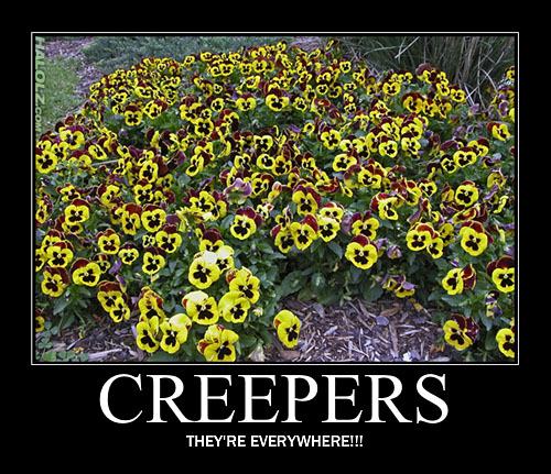Obrázek creepers-everywhere