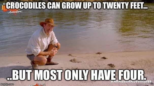 Obrázek crocodiles can grow up to 20 feet