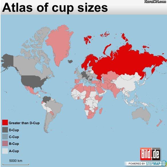 Obrázek cup sizes