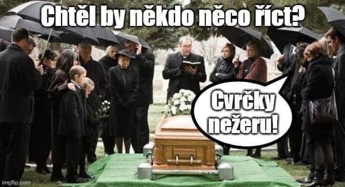 Obrázek cvrcky nezeru