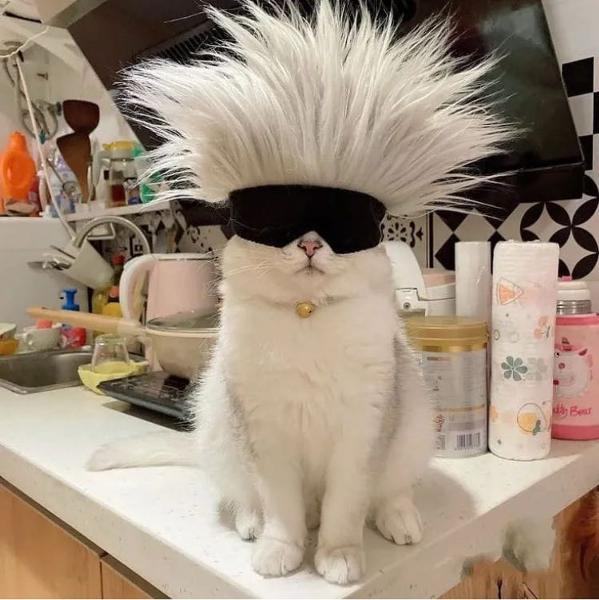 Obrázek cyber&nbsp;pussy