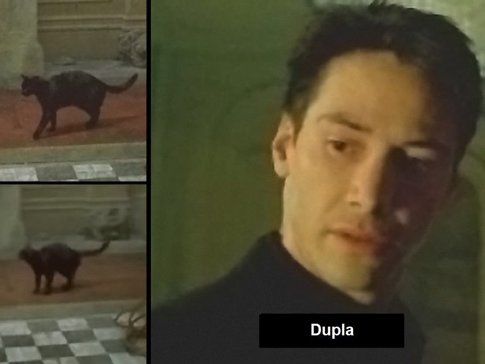 Obrázek d u p l a