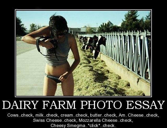 Obrázek dairy farm photo essay