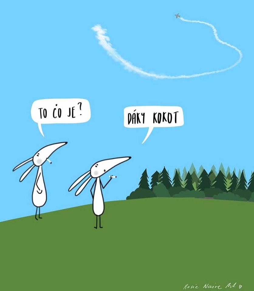 Obrázek daky kokot