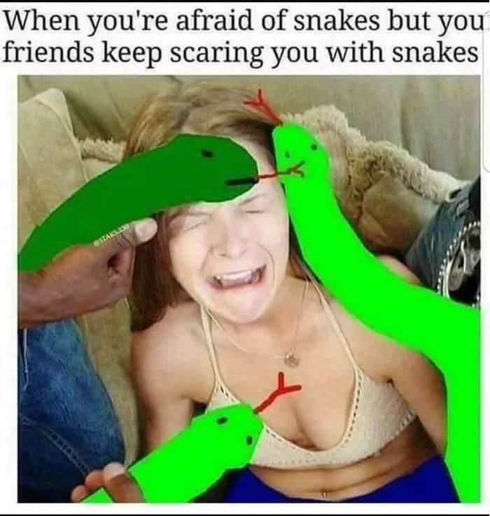 Obrázek damn-snakes