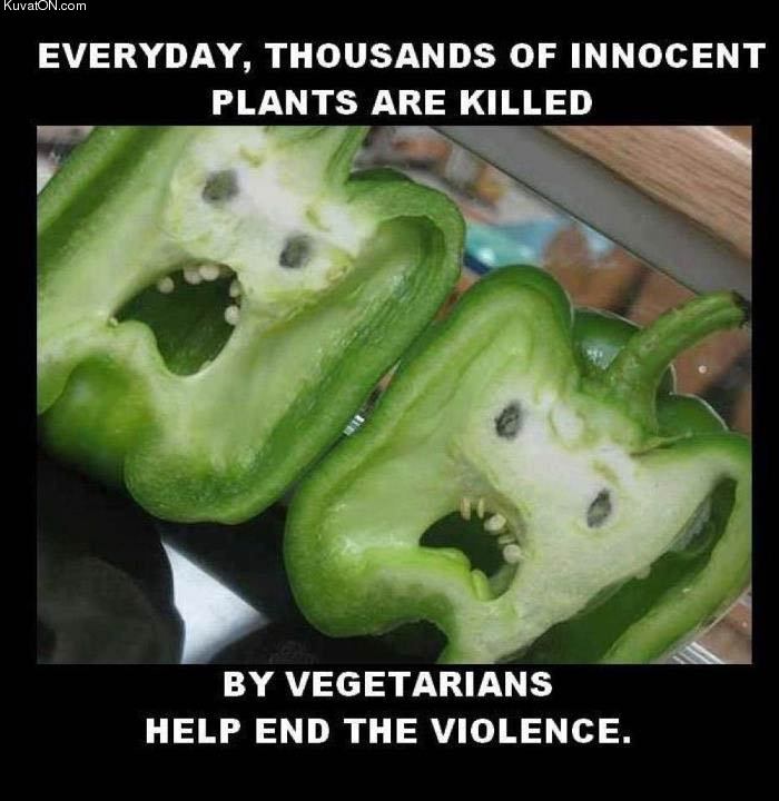 Obrázek damn vegetarians