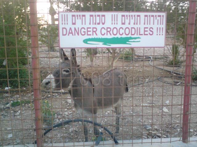 Obrázek danger crocodiles