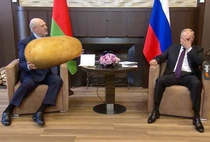Obrázek dar vladimiru vladimirovici