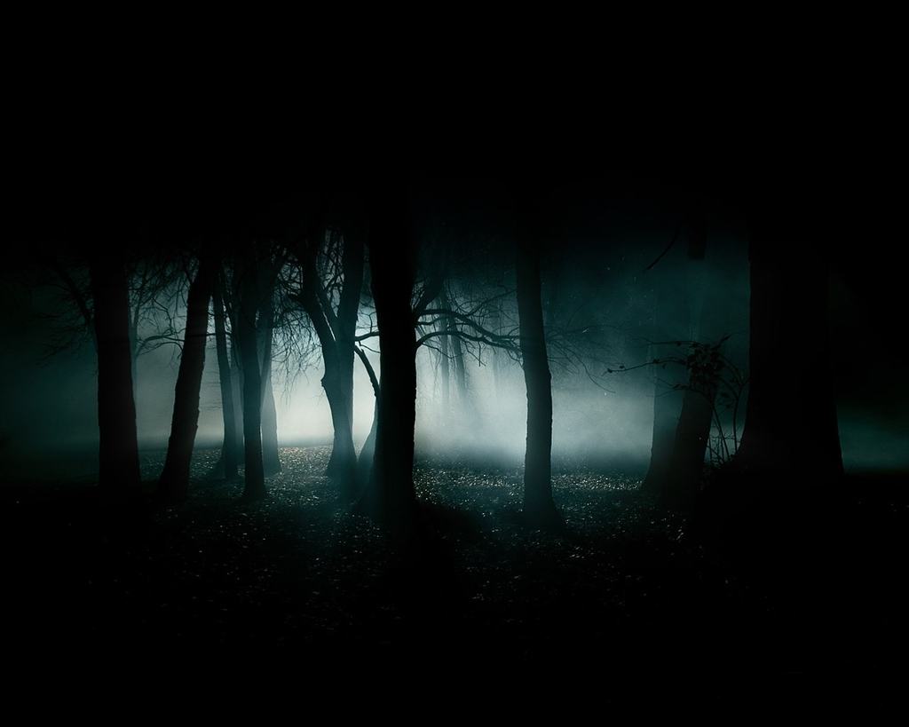 Obrázek dark-forest-jdem