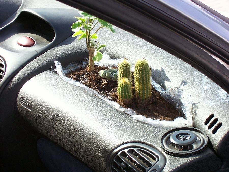 Obrázek dashboardgarden