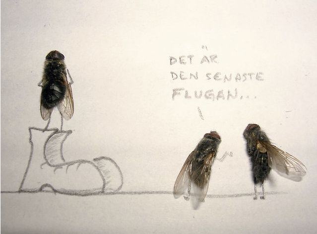Obrázek dead-fly-art-03