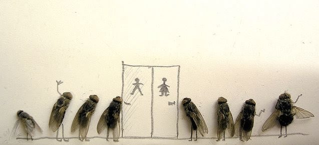 Obrázek dead-fly-art-11