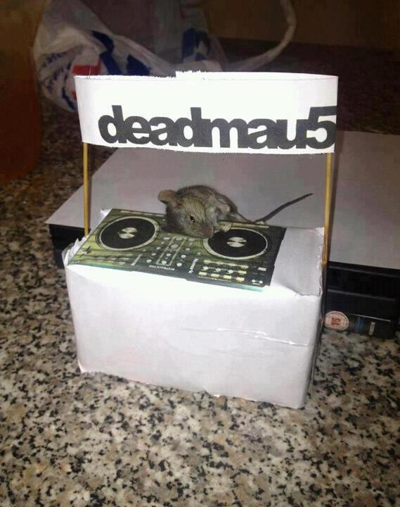 Obrázek deadmau5