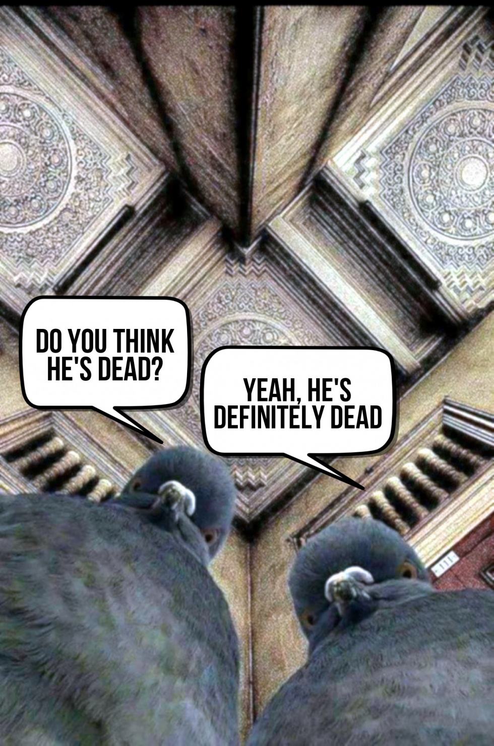 Obrázek definitely