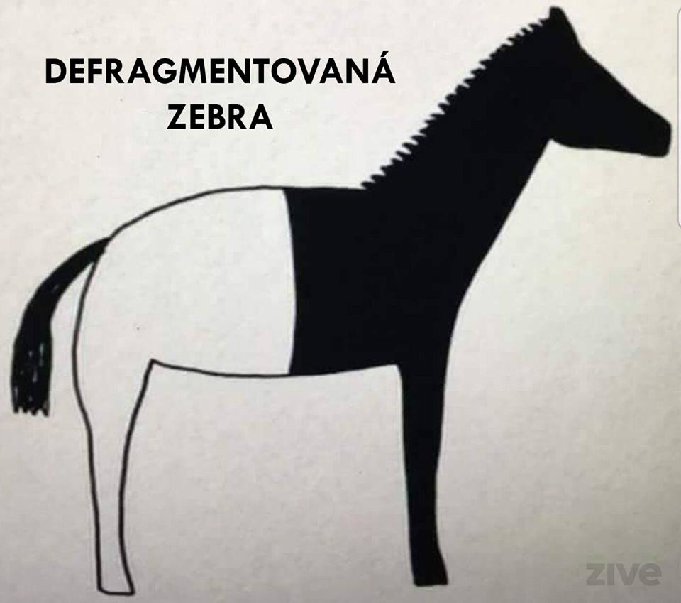 Obrázek defrag zebra