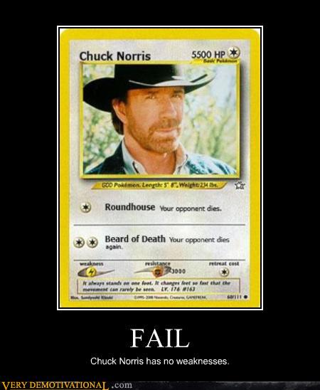 Obrázek demotivational-posters-chuck norris