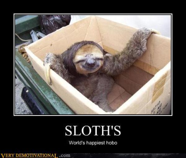 Obrázek demotivational-sloth
