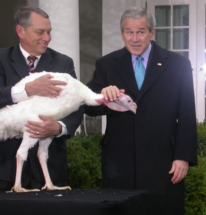 Obrázek den dikuvzdani a Bush