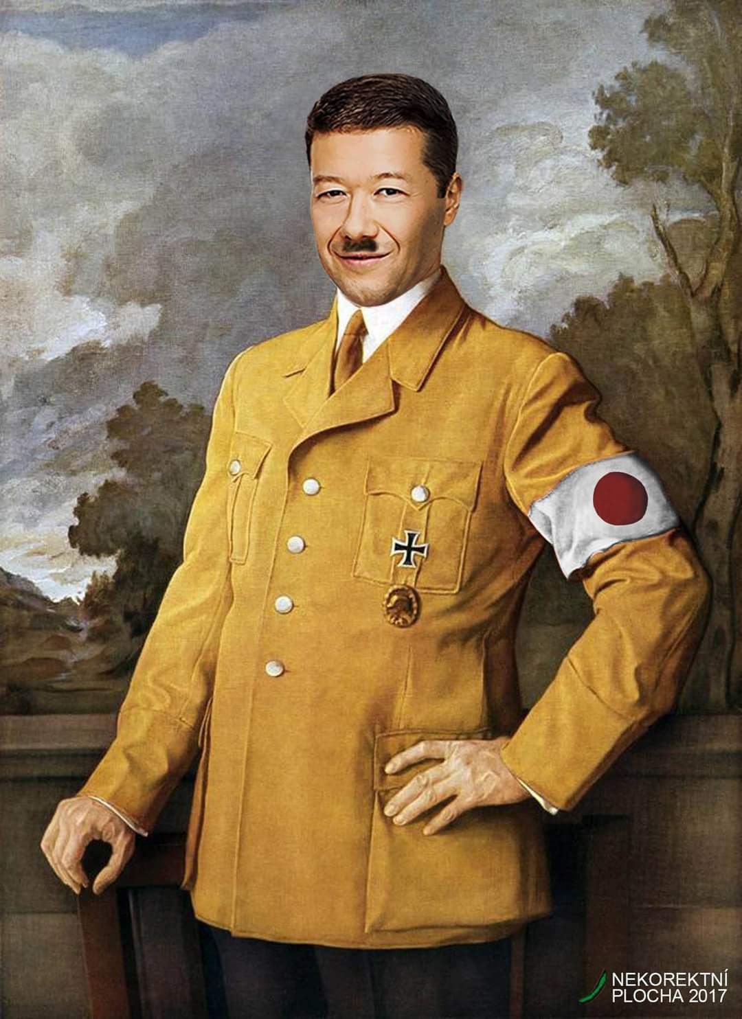 Obrázek diagnoza Pitomio