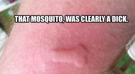 Obrázek dick mosquito