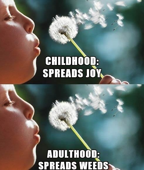 Obrázek difference between childhood and adulthood