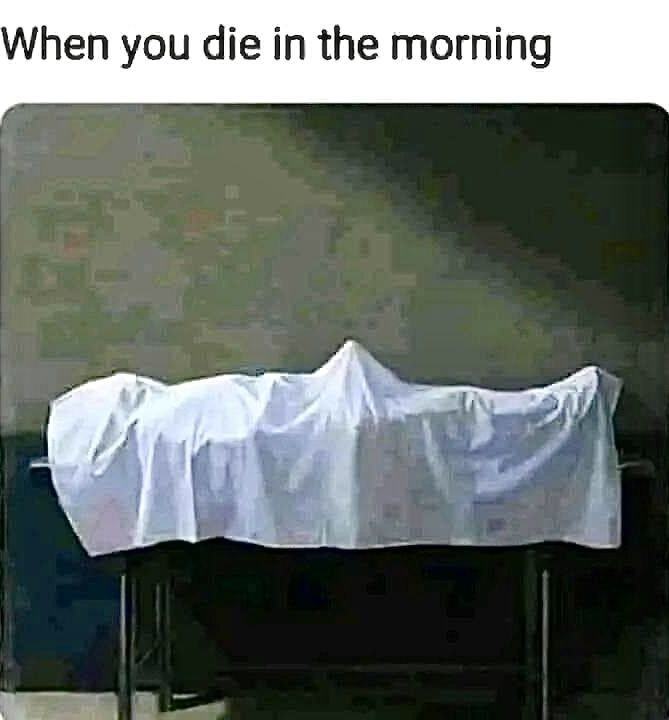 Obrázek dimorn