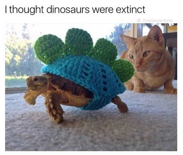 Obrázek dinosaurs - extinct
