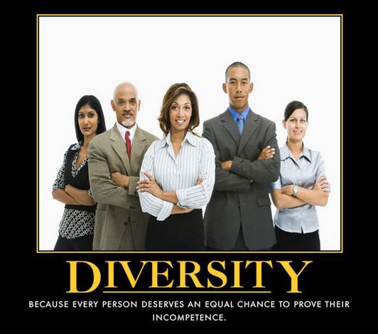 Obrázek diversity3