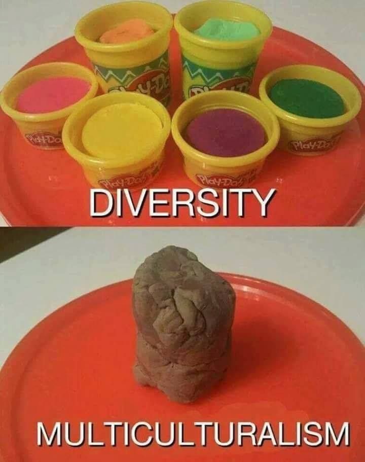 Obrázek diversityxmultikult