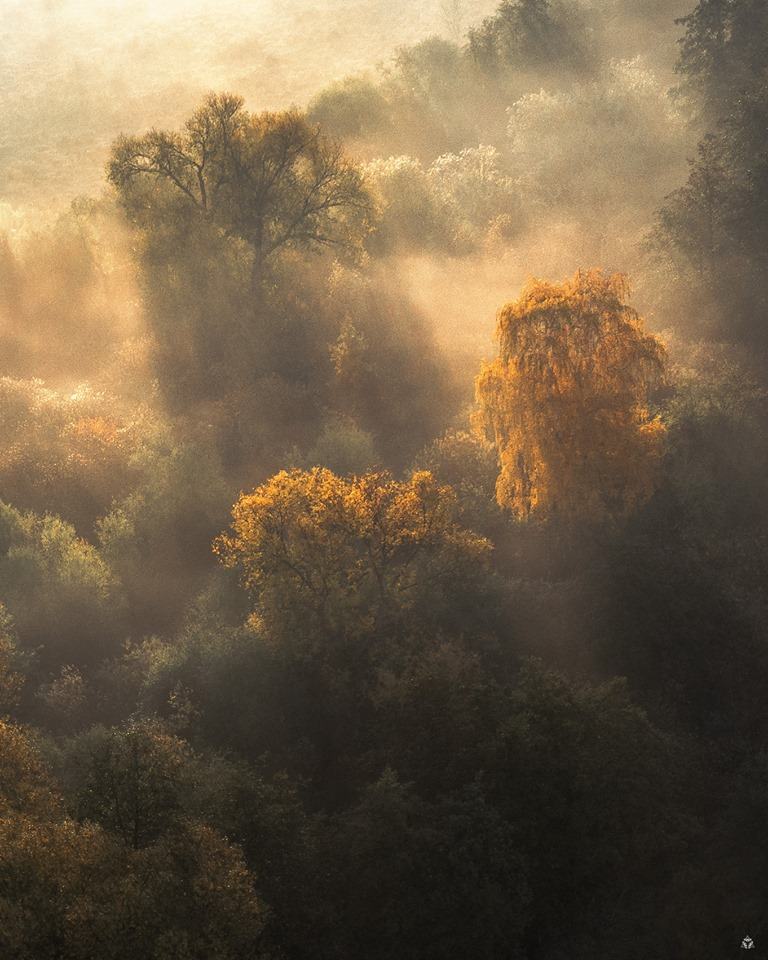 Obrázek djimojemlha2019