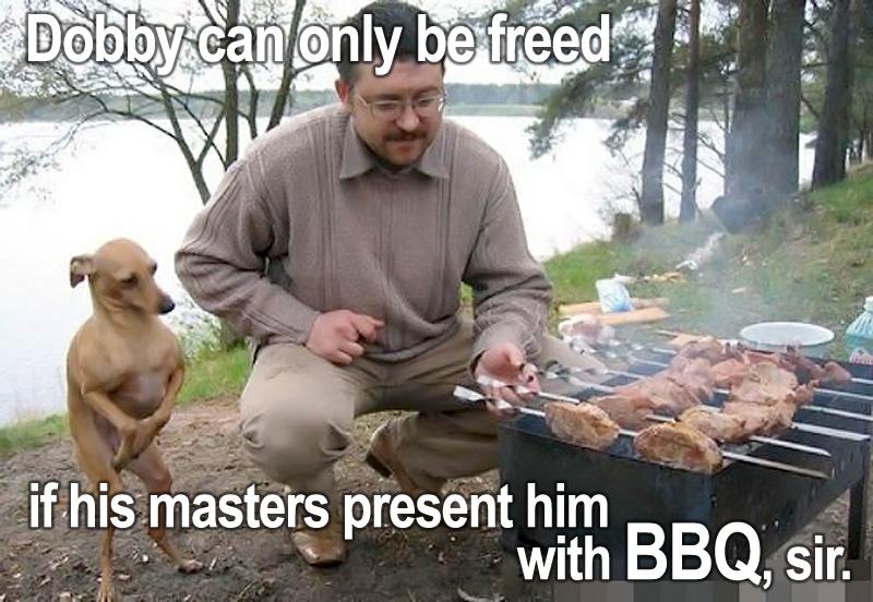 Obrázek dobby bbq