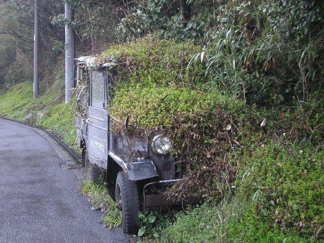 Obrázek dobre maskovan