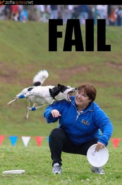 Obrázek dog-fail