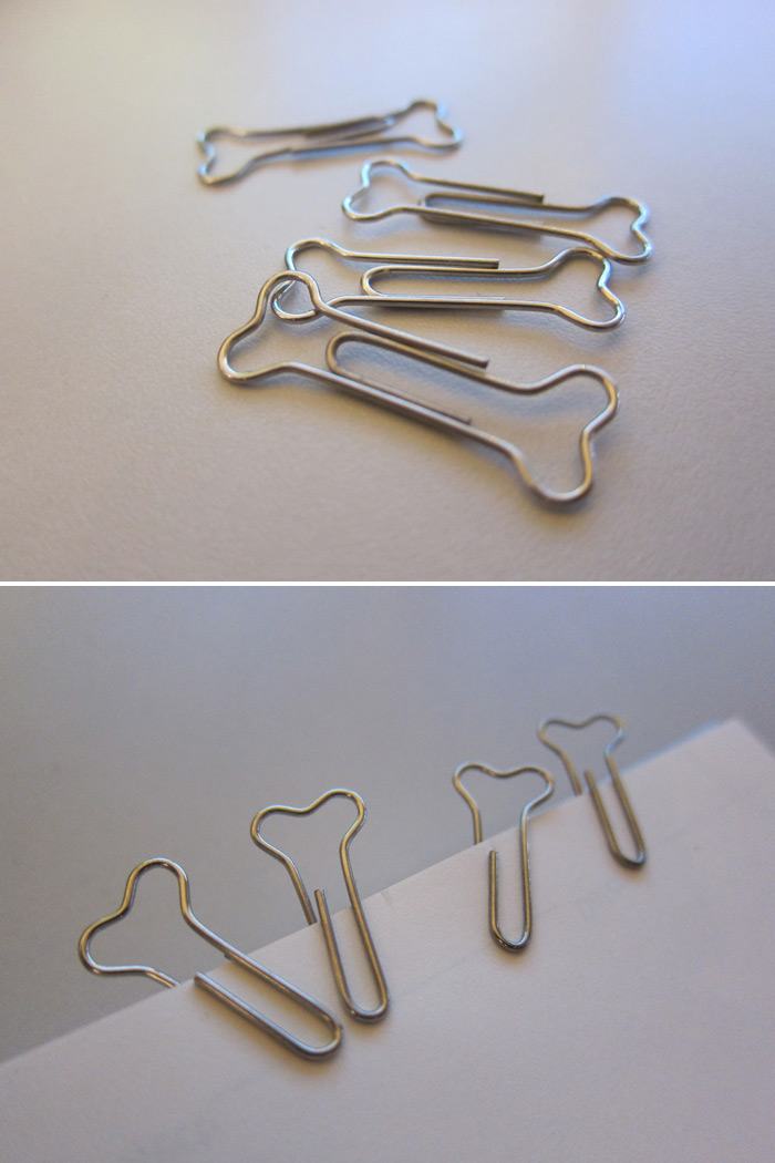 Obrázek dog bone 28r 29 paper clip