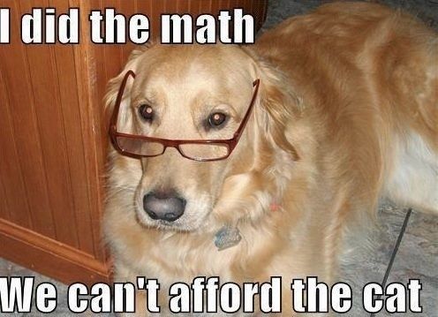 Obrázek dog did the math