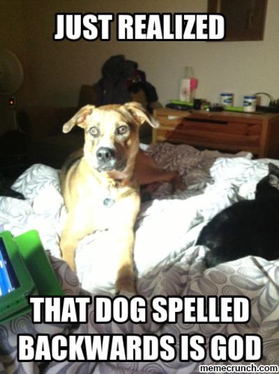 Obrázek dog is god
