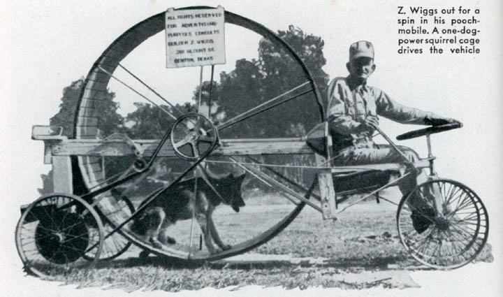 Obrázek dog powered vehicle