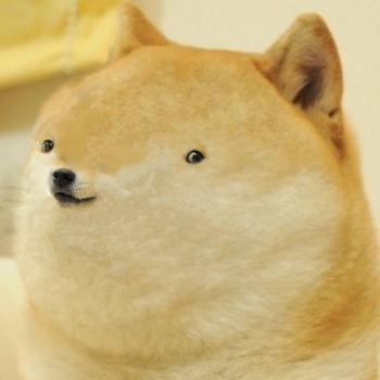 Obrázek doge