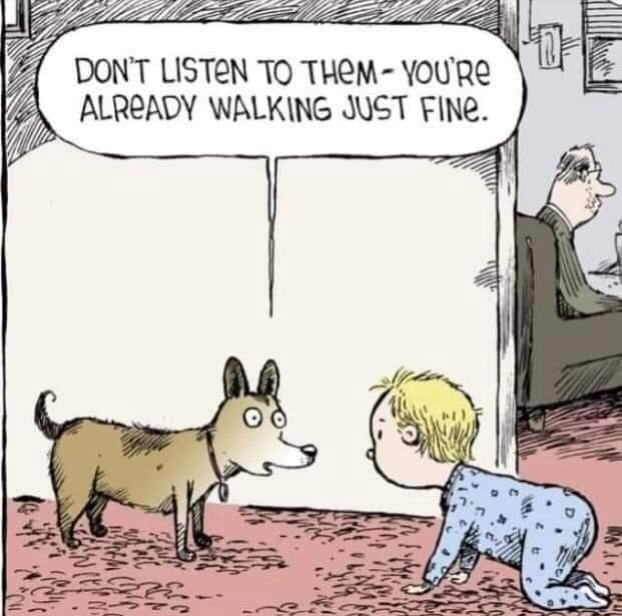 Obrázek doggy knows nothing