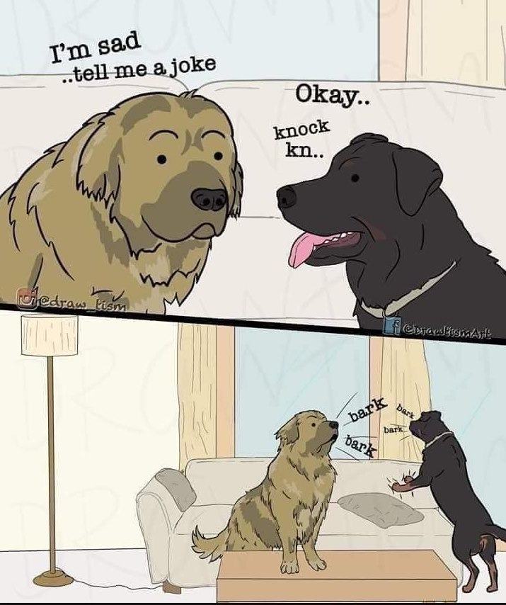 Obrázek dogjoke