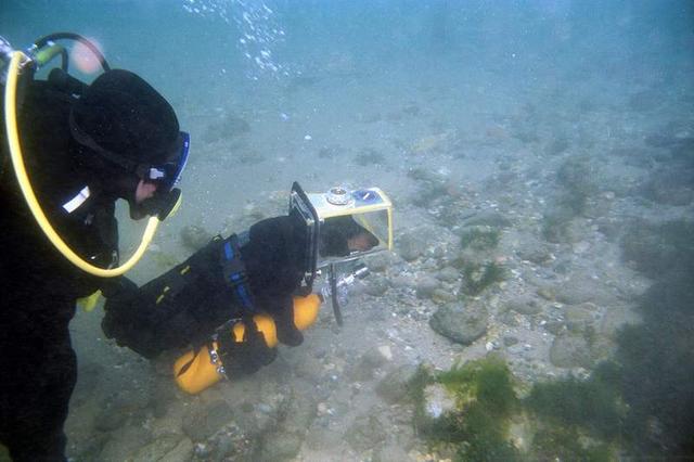 Obrázek dogunderwater